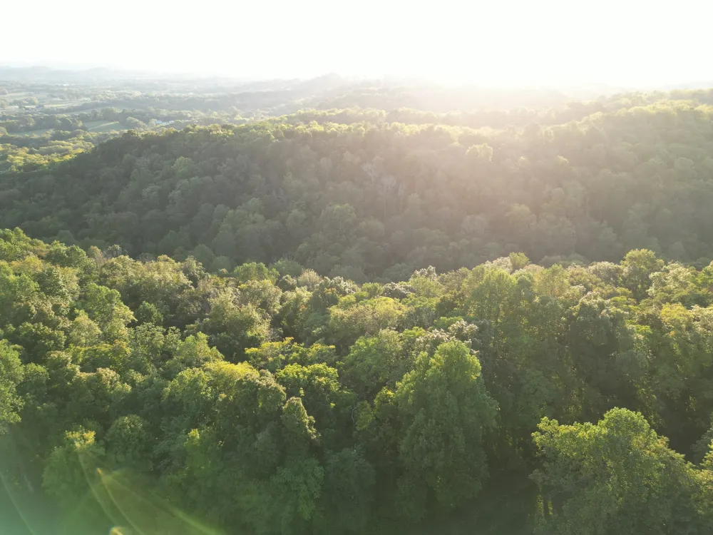 0 Lazy Branch Road Wartrace, TN 37183