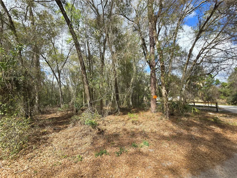 BRIGHT WAY Deland, FL 32720