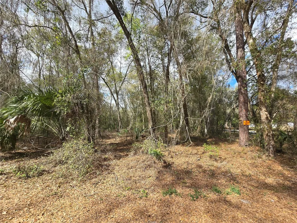 BRIGHT WAY Deland, FL 32720