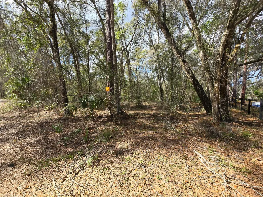 BRIGHT WAY Deland, FL 32720