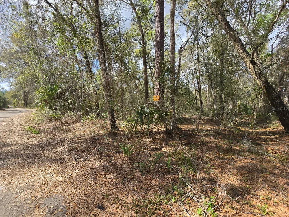 BRIGHT WAY Deland, FL 32720