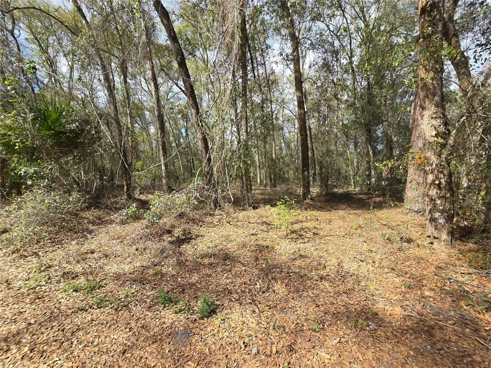 BRIGHT WAY Deland, FL 32720