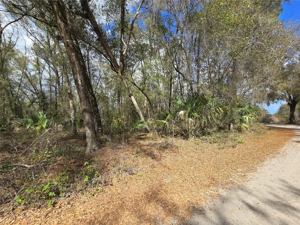 BRIGHT WAY Deland, FL 32720