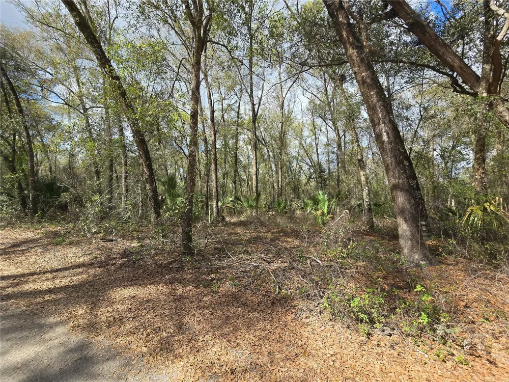 BRIGHT WAY Deland, FL 32720