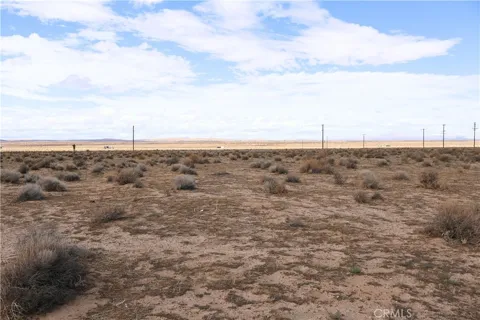 Twenty Mule Team Road