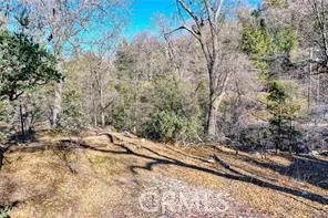 Deer Lake Arrowhead, CA 92352