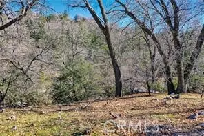 Deer Lake Arrowhead, CA 92352