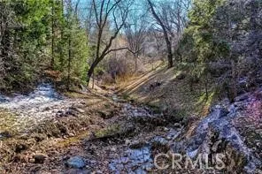 Deer Lake Arrowhead, CA 92352