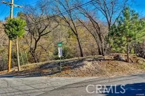 Deer Lake Arrowhead, CA 92352