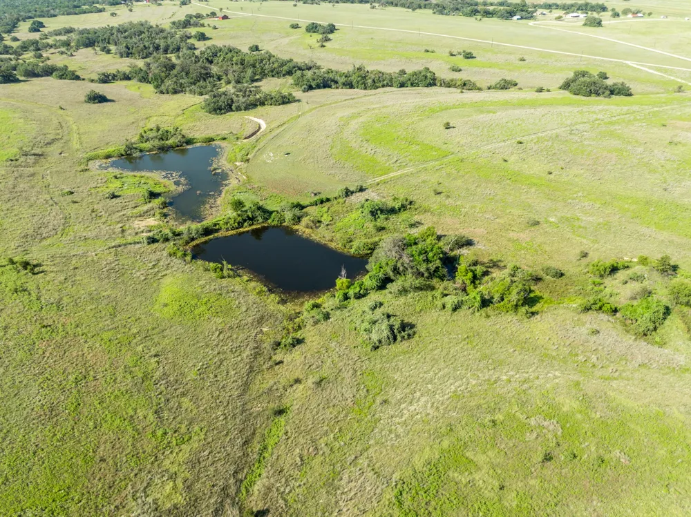 2977 Fm 1241 Purmela, TX 76566