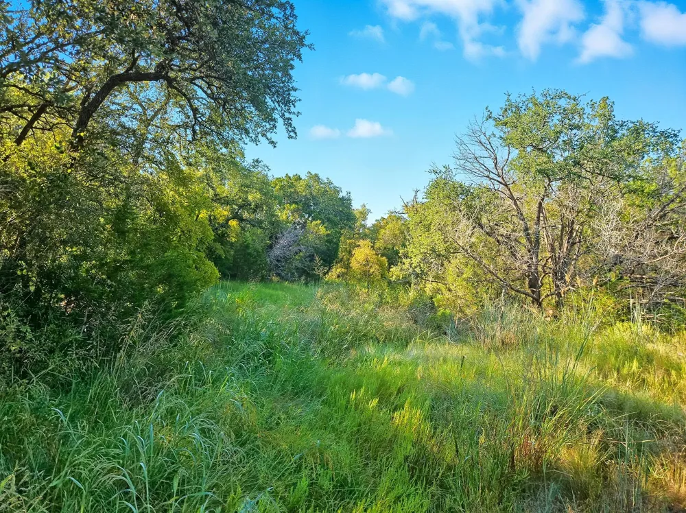2977 Fm 1241 Purmela, TX 76566