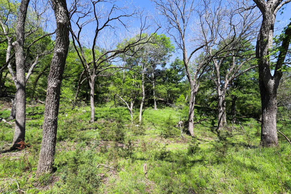 Oglesby Neff Park Road Moody, TX 76557