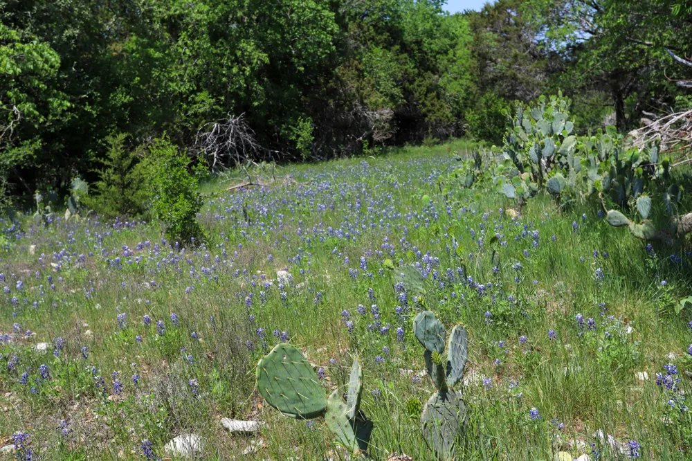 Oglesby Neff Park Road Moody, TX 76557