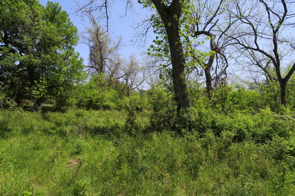 Oglesby Neff Park Road Moody, TX 76557