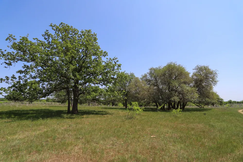 Oglesby Neff Park Road Moody, TX 76557