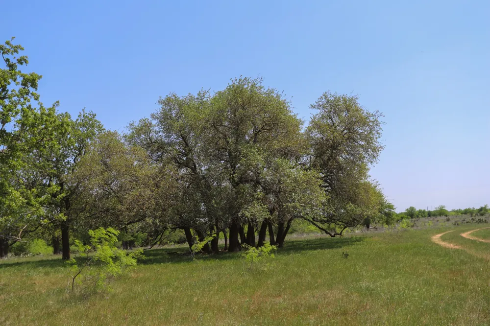 Oglesby Neff Park Road Moody, TX 76557