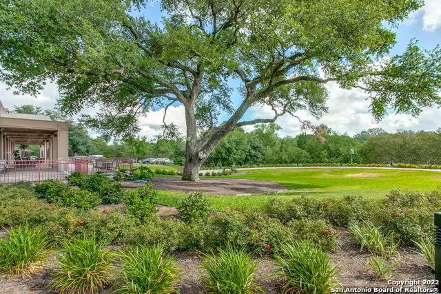 1 TOWERS PARK LN #1203 San Antonio, TX 78209