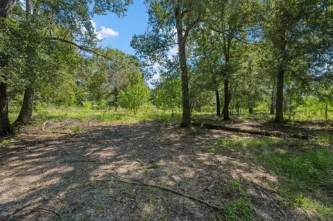 26092 Deerbrook Drive