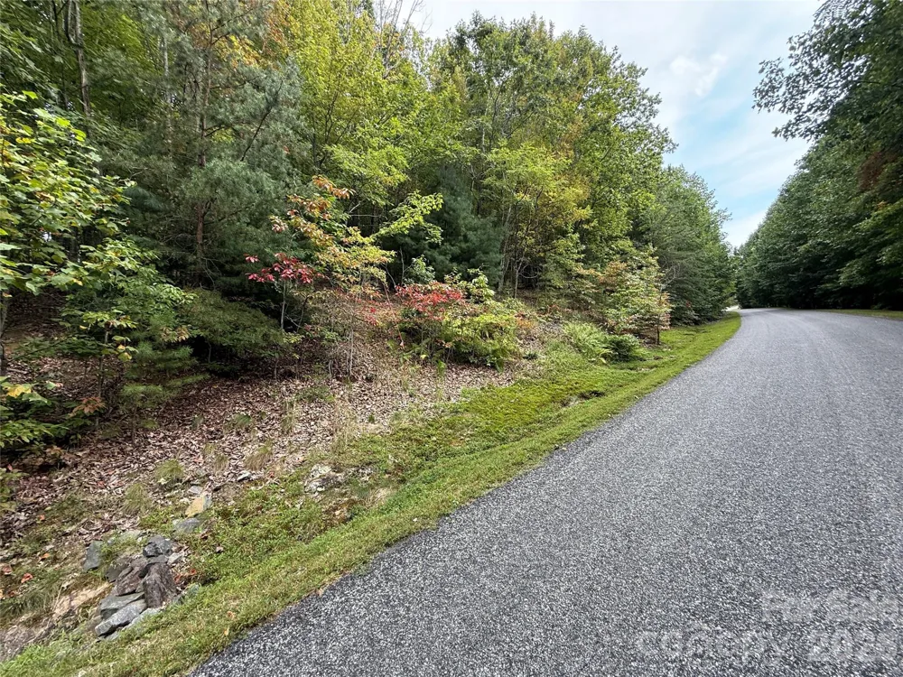 1029 Chippawa Drive #67 Arden, NC 28704