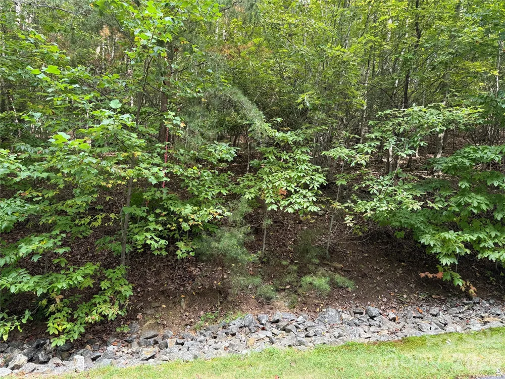 1029 Chippawa Drive #67 Arden, NC 28704