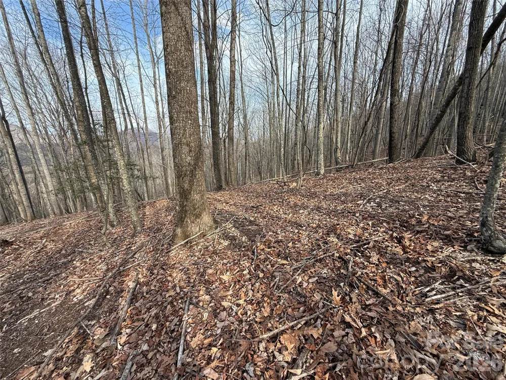 1029 Chippawa Drive #67 Arden, NC 28704