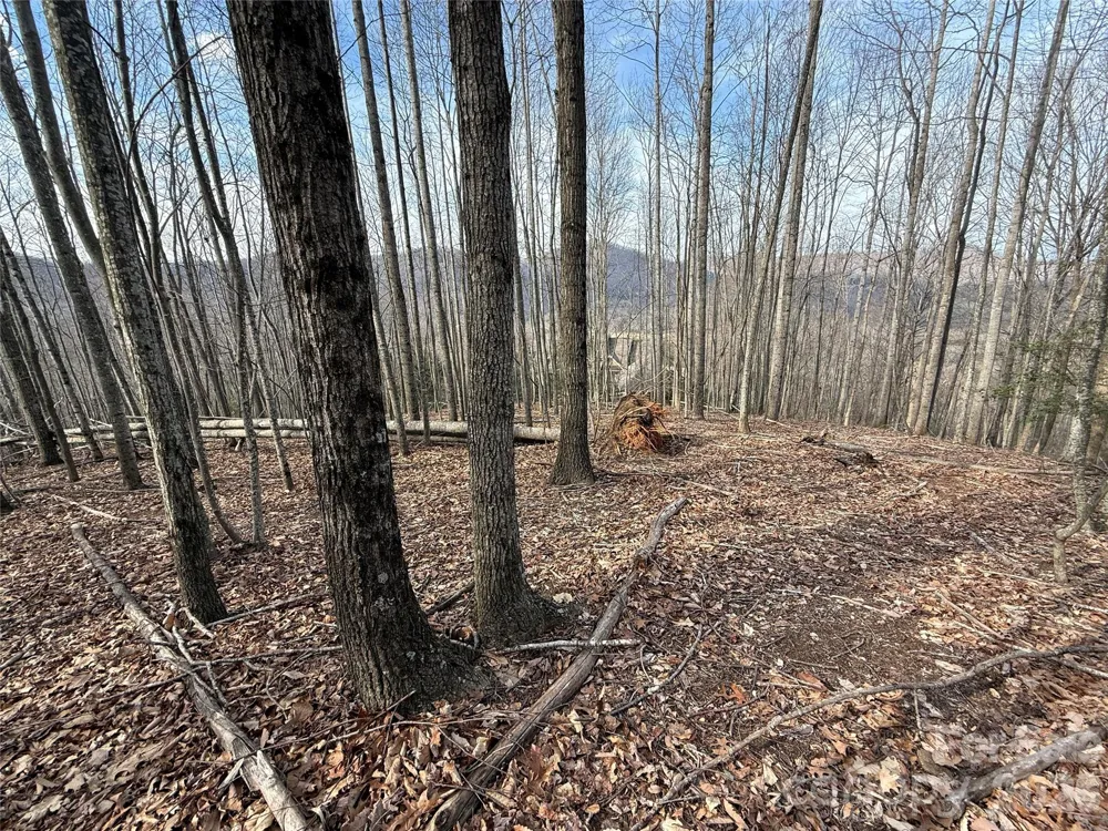 1029 Chippawa Drive #67 Arden, NC 28704