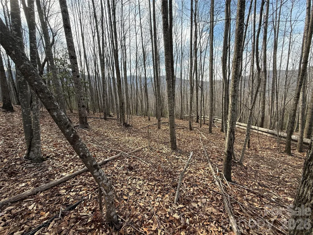 1029 Chippawa Drive #67 Arden, NC 28704