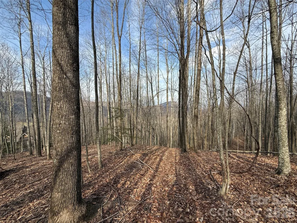 1029 Chippawa Drive #67 Arden, NC 28704