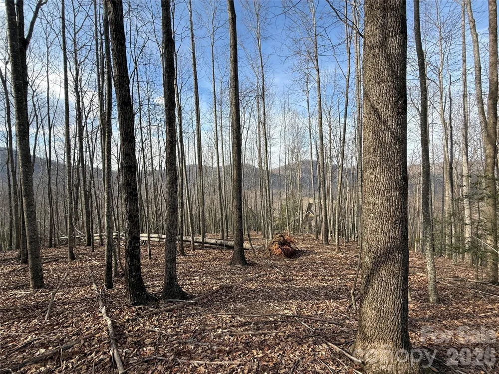 1029 Chippawa Drive #67 Arden, NC 28704