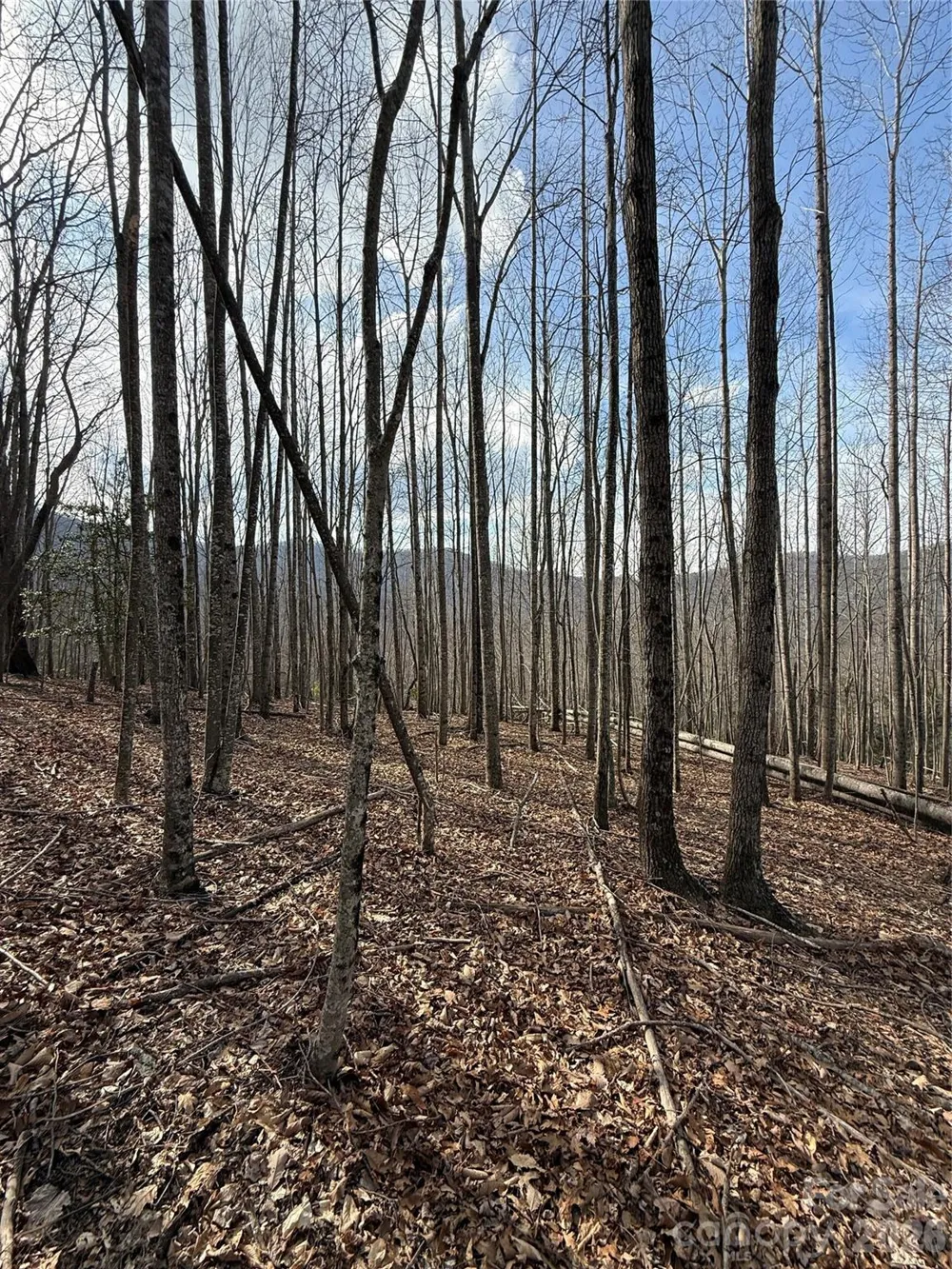 1029 Chippawa Drive #67 Arden, NC 28704