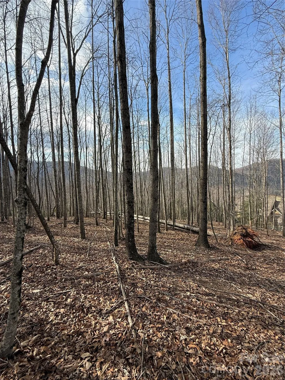 1029 Chippawa Drive #67 Arden, NC 28704