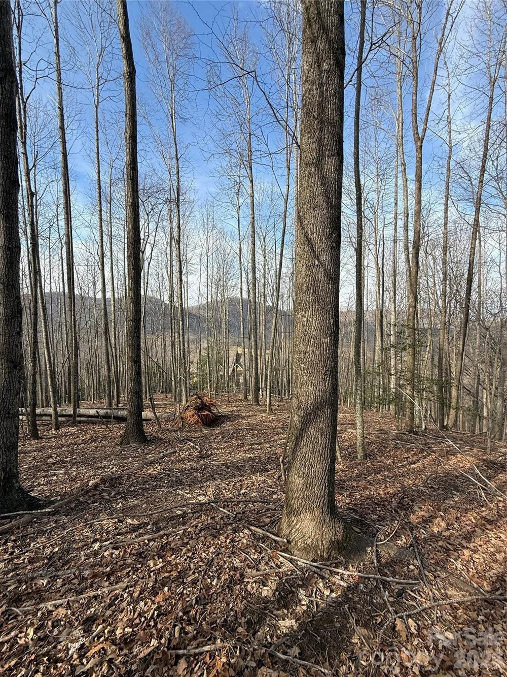 1029 Chippawa Drive #67 Arden, NC 28704