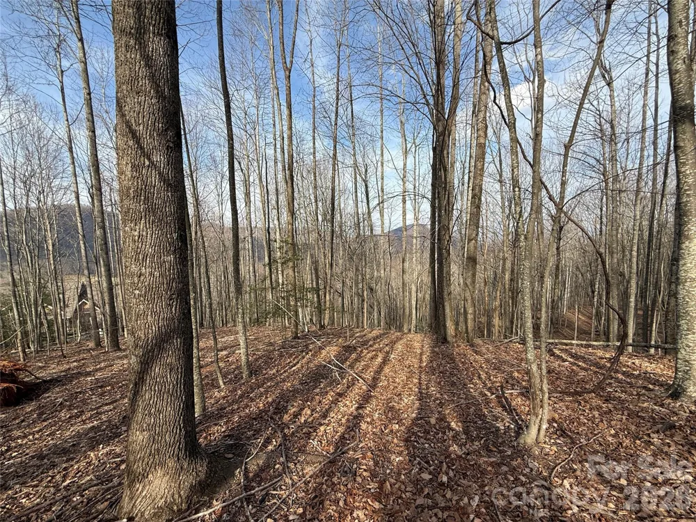 1029 Chippawa Drive #67 Arden, NC 28704