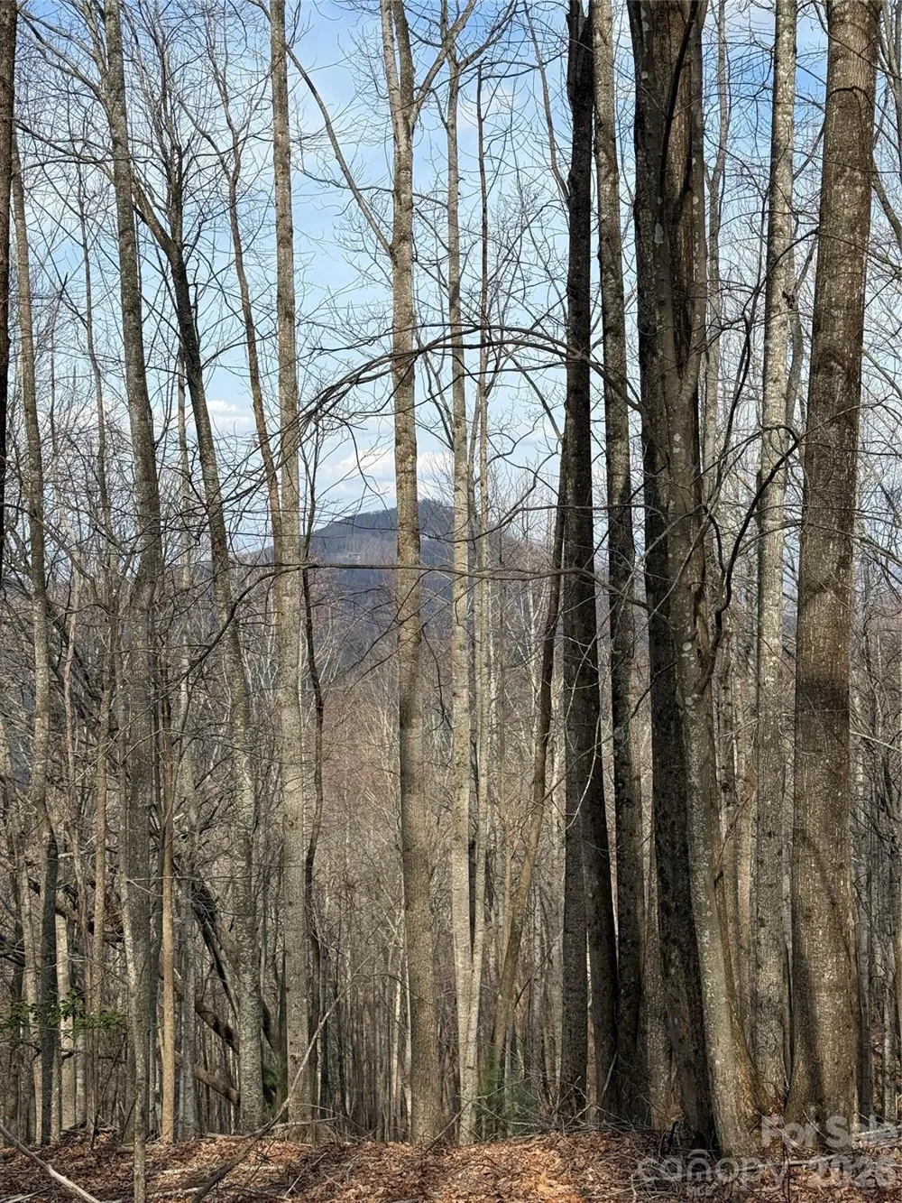 1029 Chippawa Drive #67 Arden, NC 28704