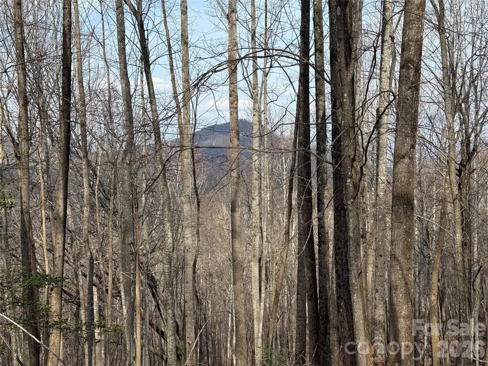 1029 Chippawa Drive #67 Arden, NC 28704