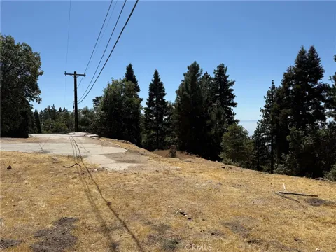 10 Winding Way