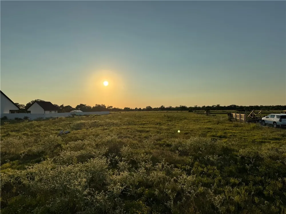 16547 Kelton Lane Iola, TX 77861