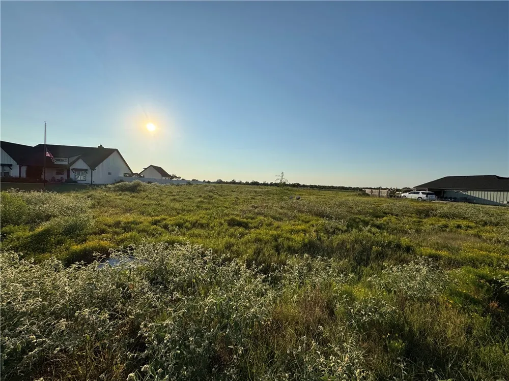 16547 Kelton Lane Iola, TX 77861