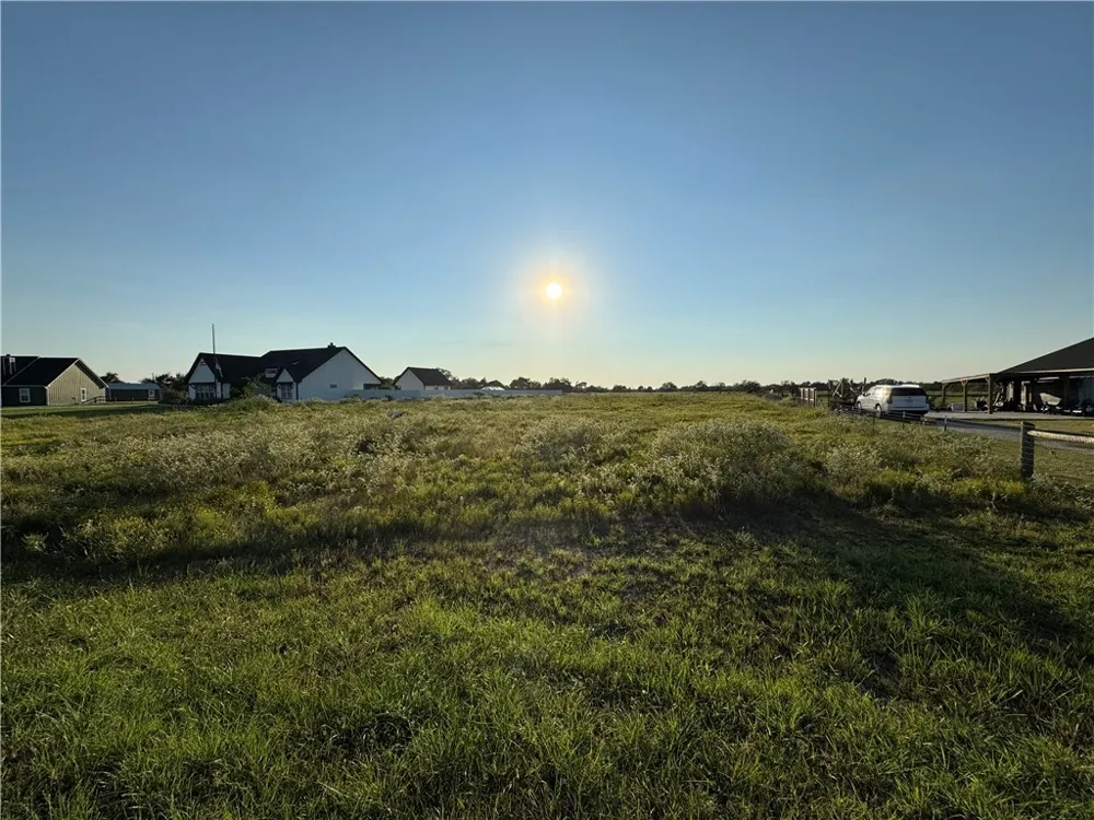 16547 Kelton Lane Iola, TX 77861