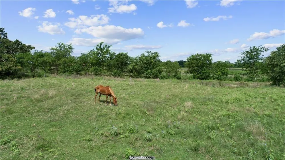 16547 Kelton Lane Iola, TX 77861
