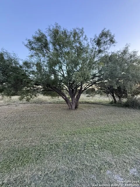 2 Cardinal Drive Camp Wood, TX 78833