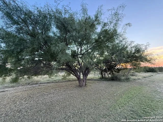 2 Cardinal Drive Camp Wood, TX 78833