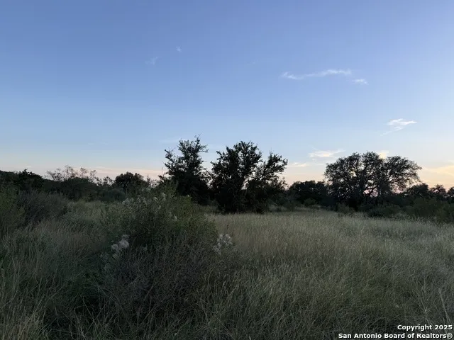 2 Cardinal Drive Camp Wood, TX 78833