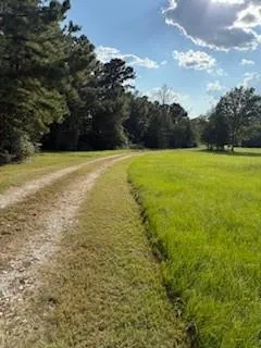 14706 Highway 90 Bedias, TX 77831
