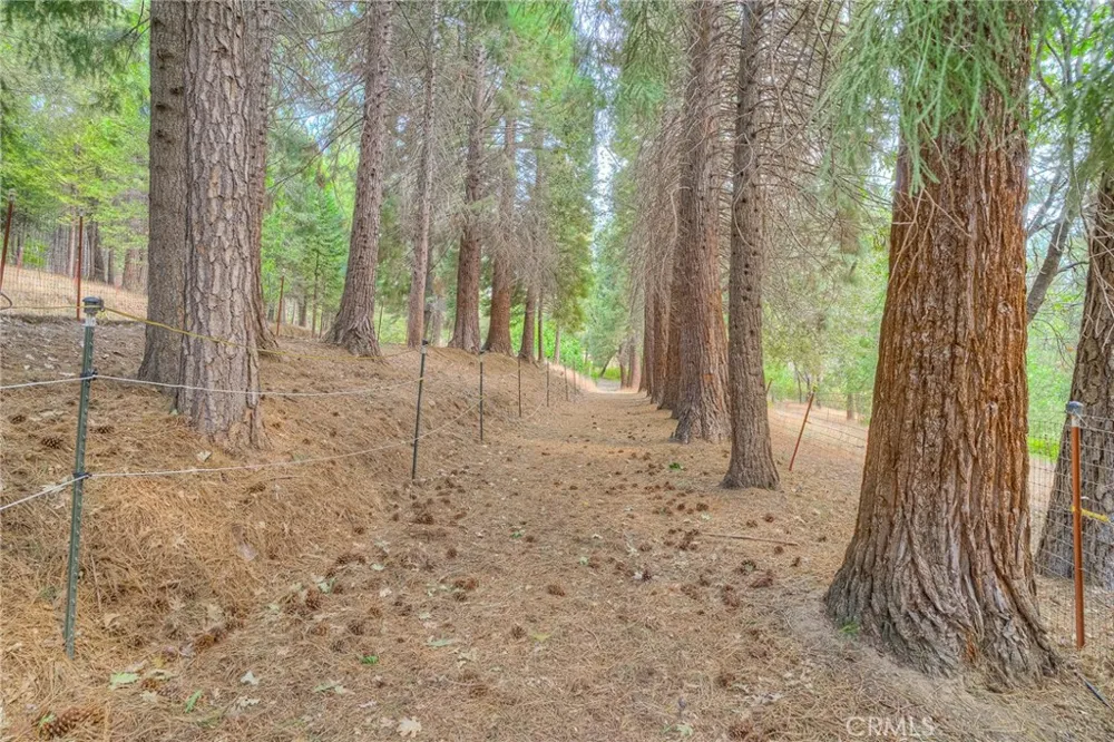 3635 Charqui Court Oroville, CA 95965