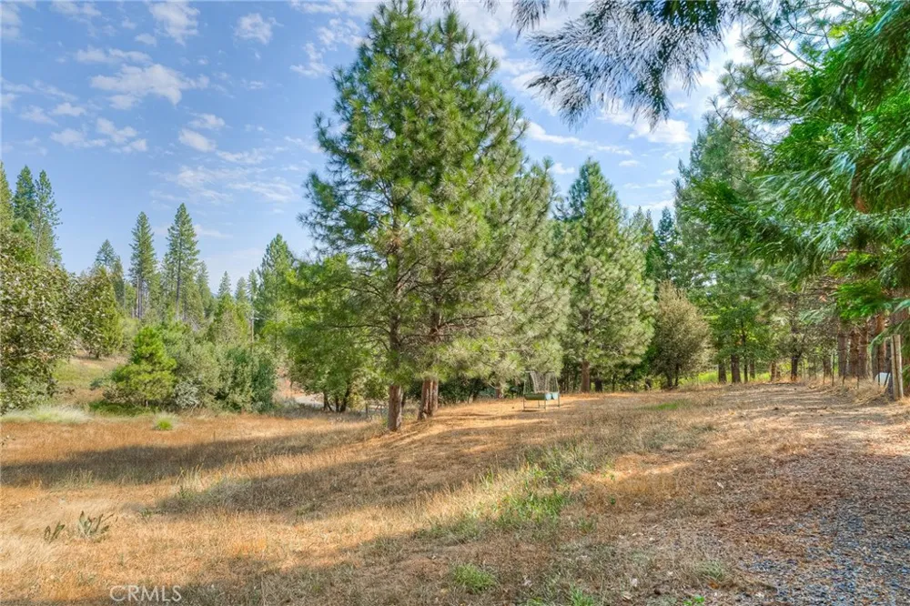 3635 Charqui Court Oroville, CA 95965