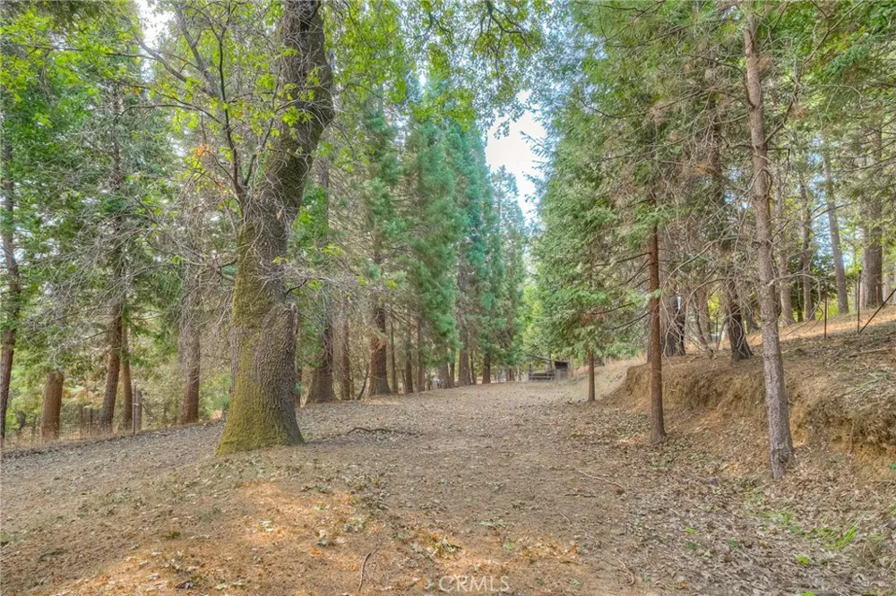 3635 Charqui Court Oroville, CA 95965