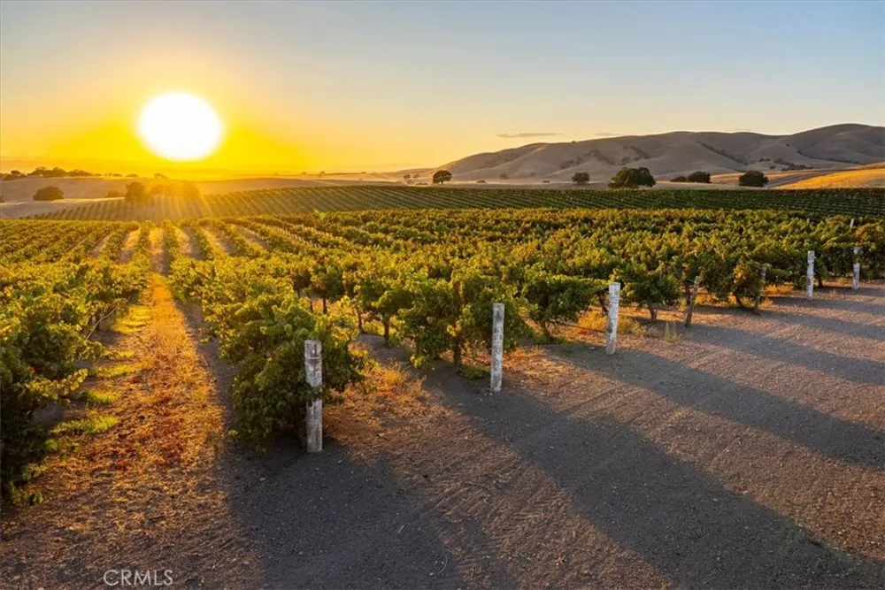 8283 Cross Canyons Road San Miguel, CA 93451