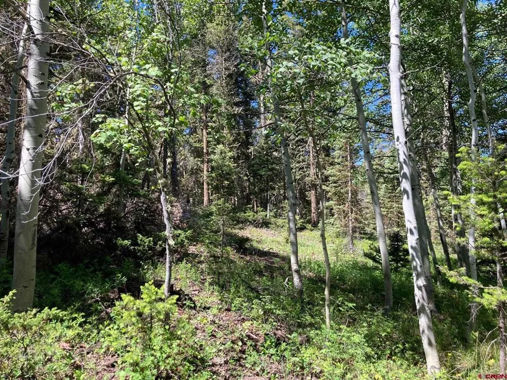 147 Ridge Road Cimarron, CO 81220