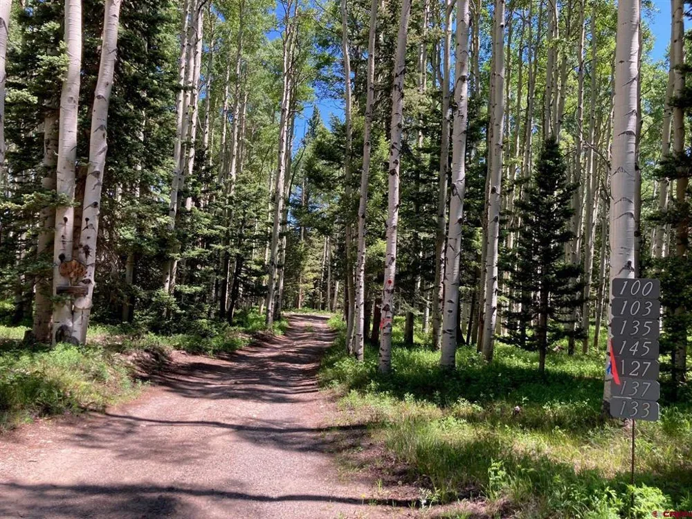 147 Ridge Road Cimarron, CO 81220